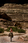 Jordan - Petra: riding till the amphitheatre - donkey - photo by J.Wreford