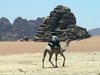 Jordan - Wadi Rum: a bedouin on his camel - photo by A.Slobodianik