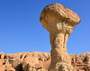 Al-Qarah, Al-Hofuf, Al-Ahsa Oasis, Eastern Province, Saudi Arabia: hoodoo / fairy chimney at Al-Qarah mountain / Jabal Al-Qarah, UNESCO world heritage site - photo by M.Torres